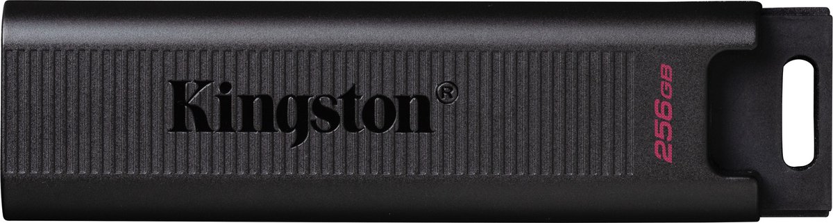 Kingston DataTraveler Max 256GB